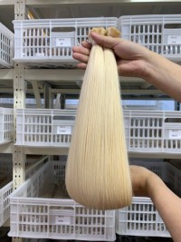 Human hair extensions genius weft hair extensions manufacturer no middle man